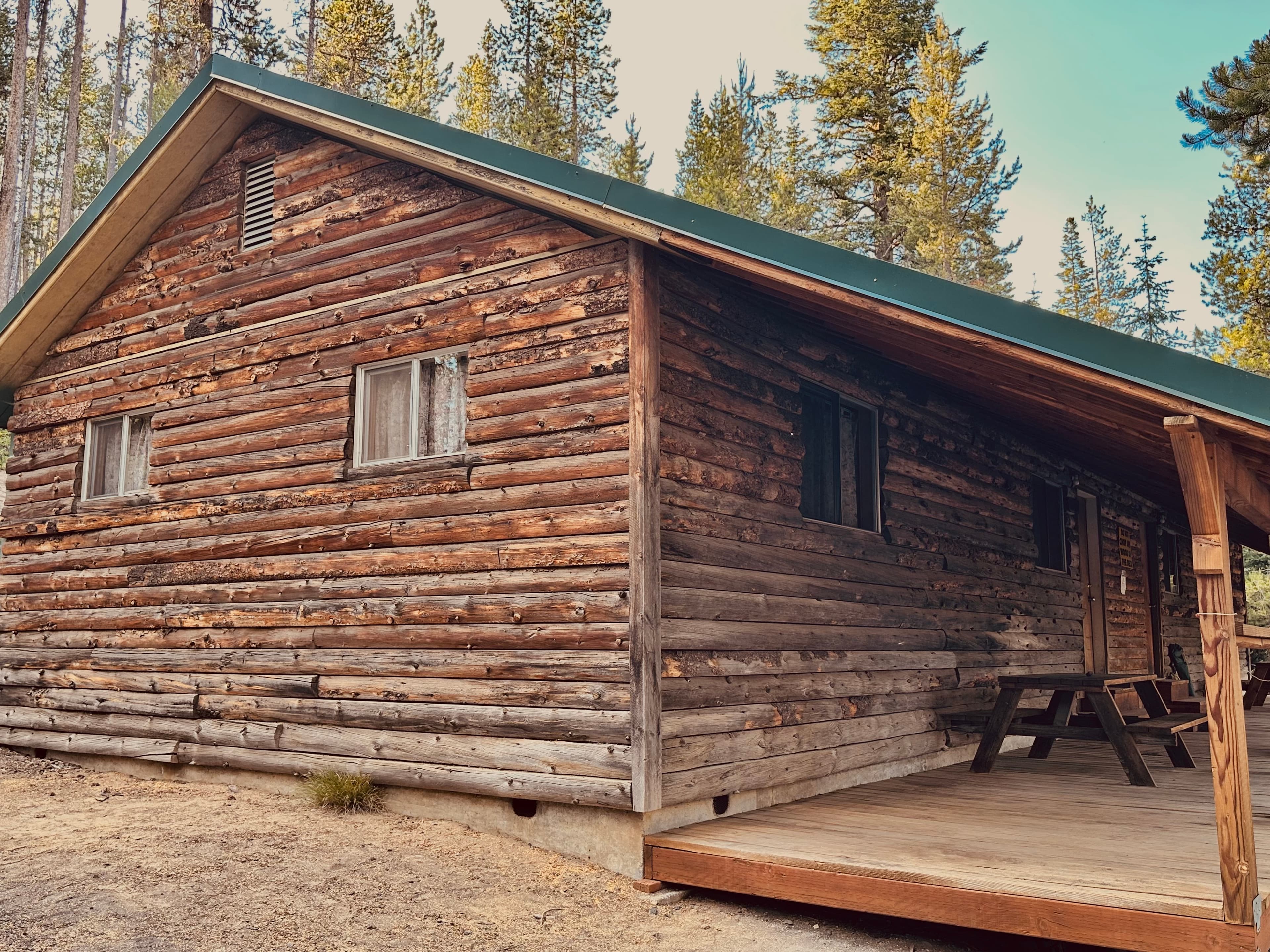 A rustic log cabin with a green roof surrounded by tall trees.