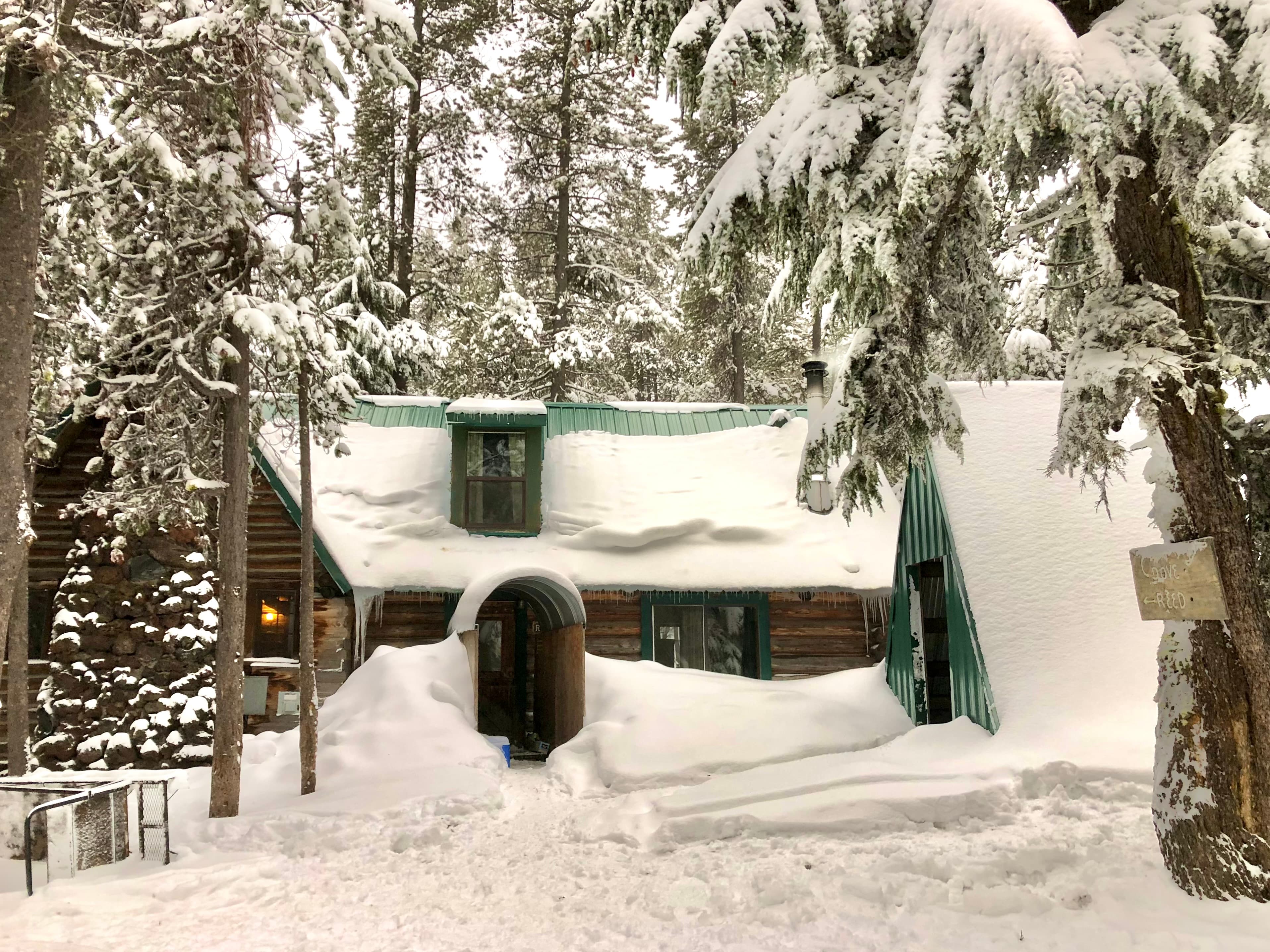 A snow-covered cabin nestled among tall trees.