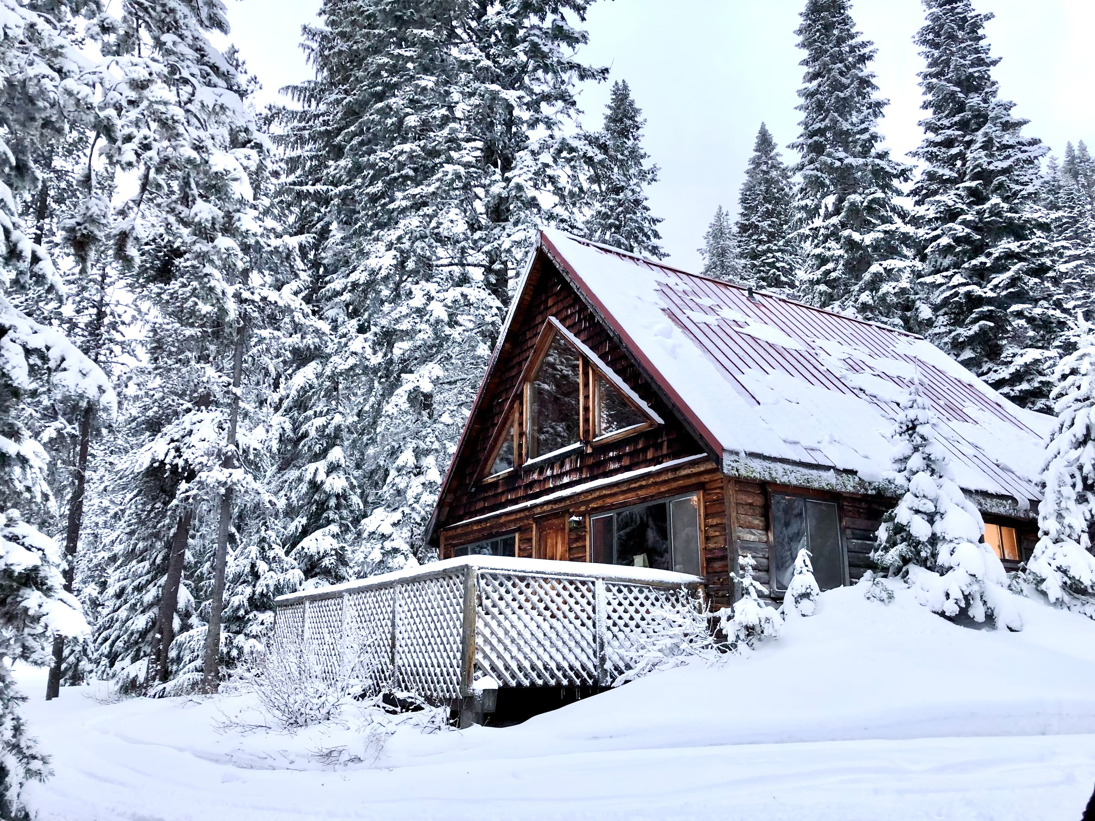 A cozy wooden cabin surrounded by snow-covered trees.