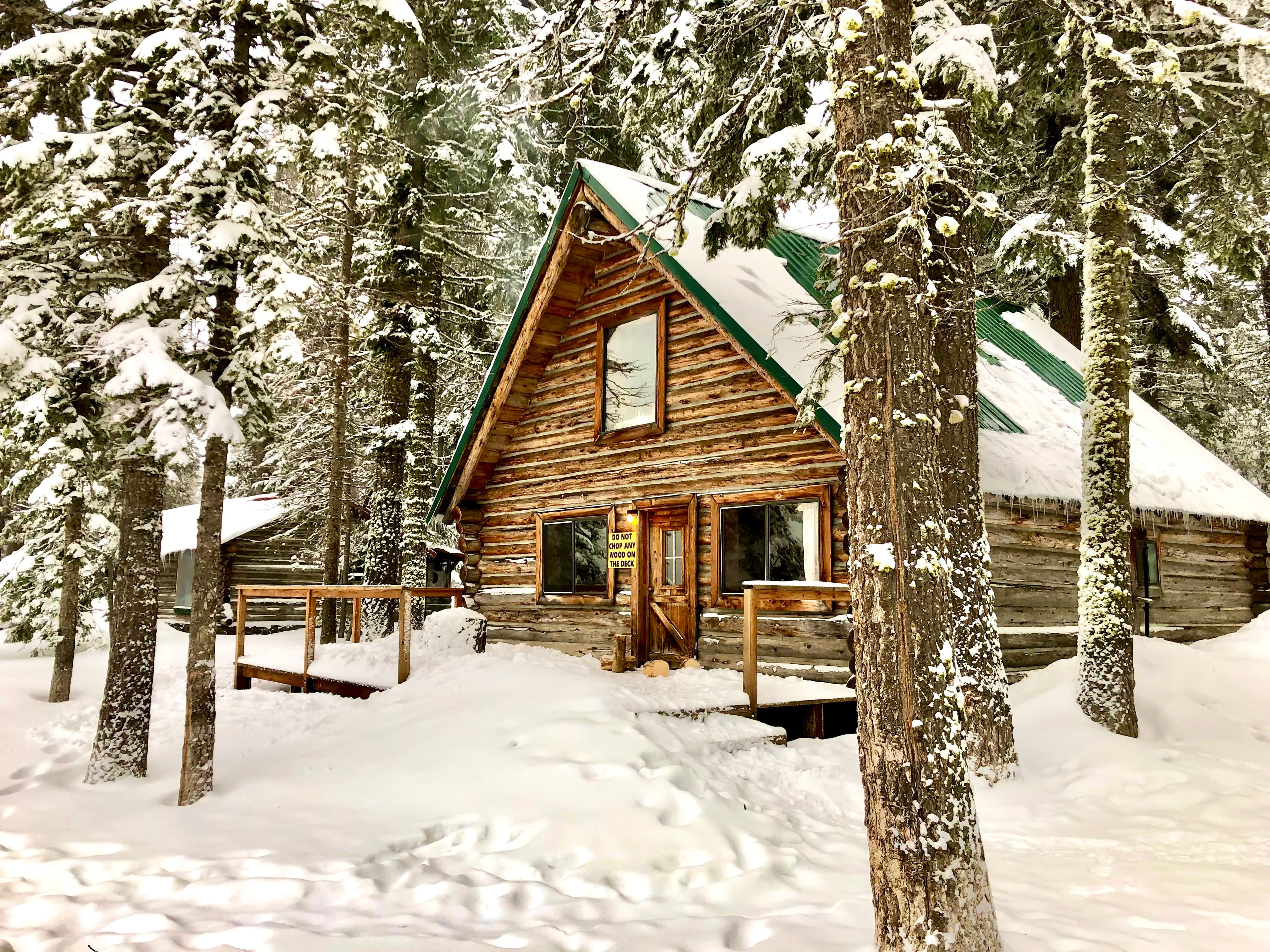 A wooden cabin with a green roof surrounded by snow-covered trees.