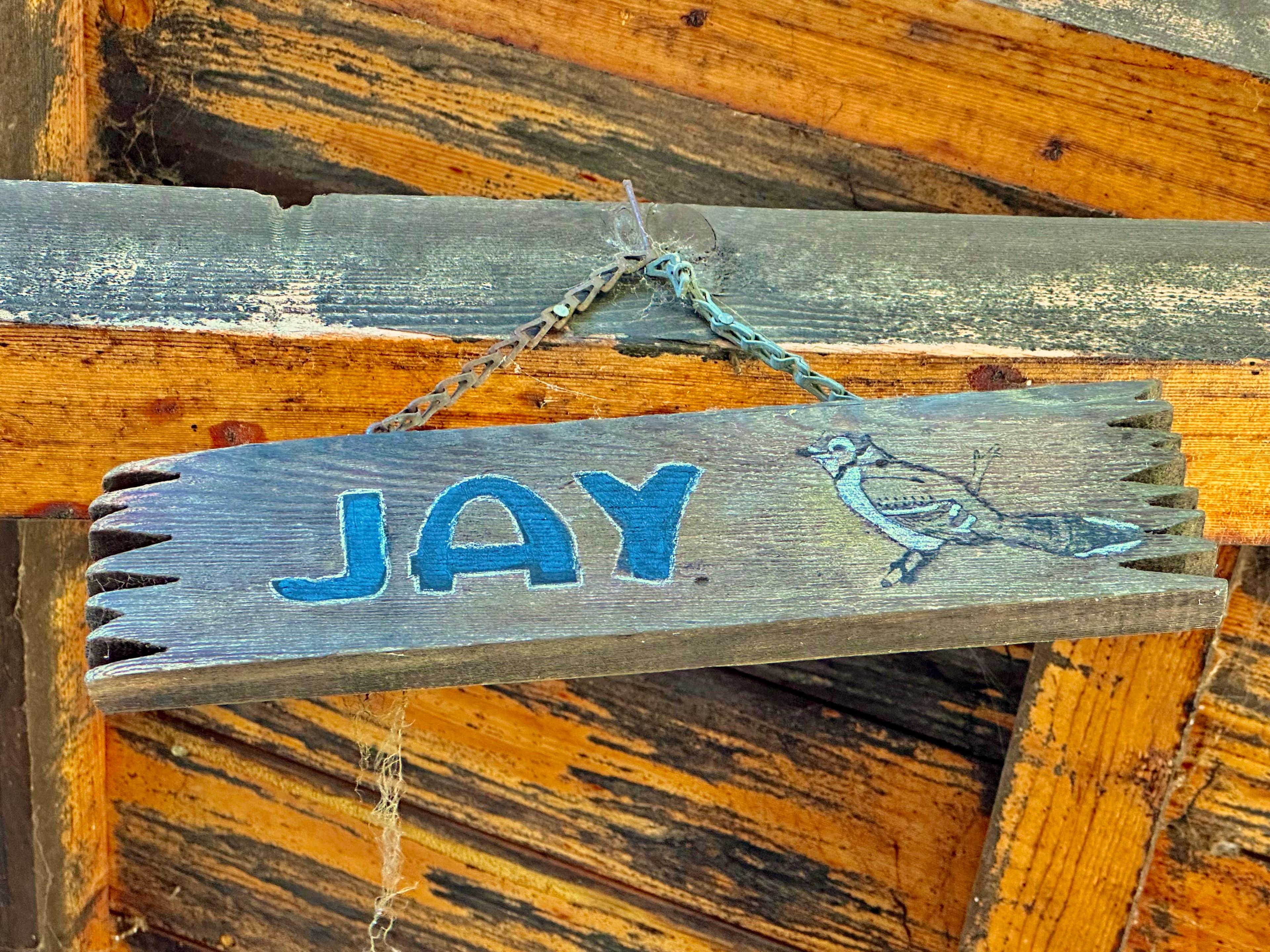 A wooden sign with the word "JAY" and a painted bird illustration hanging from a ceiling.