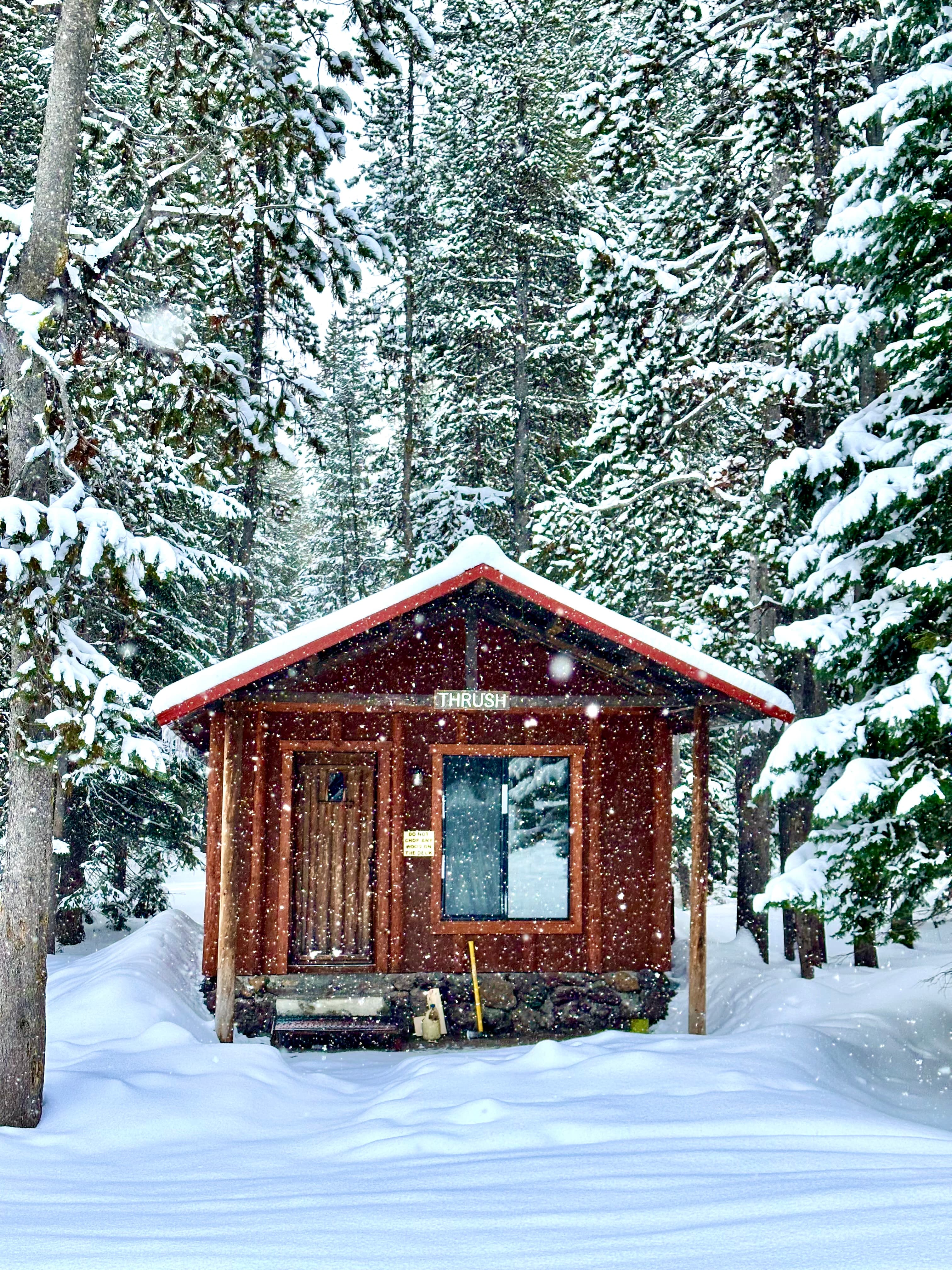 A small wooden cabin with a red roof, surrounded by snow-covered trees, on a snowy day.