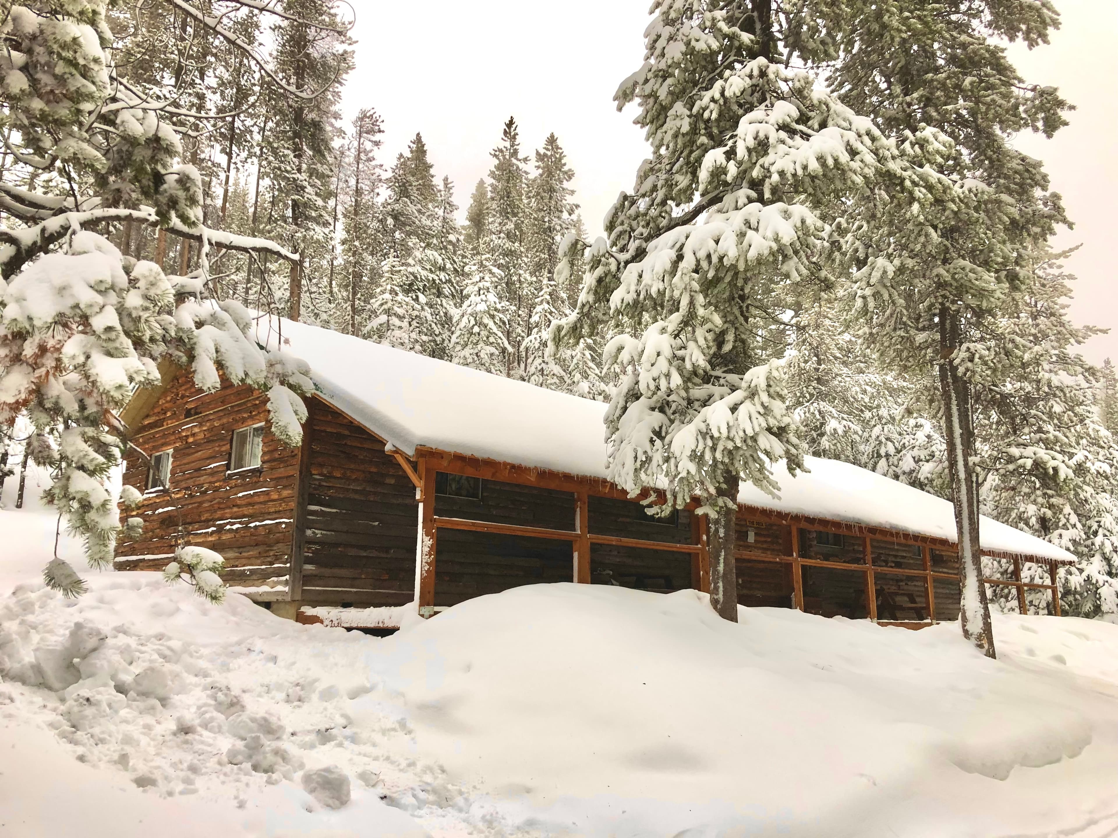 A snow-covered wooden cabin surrounded by tall evergreen trees.
