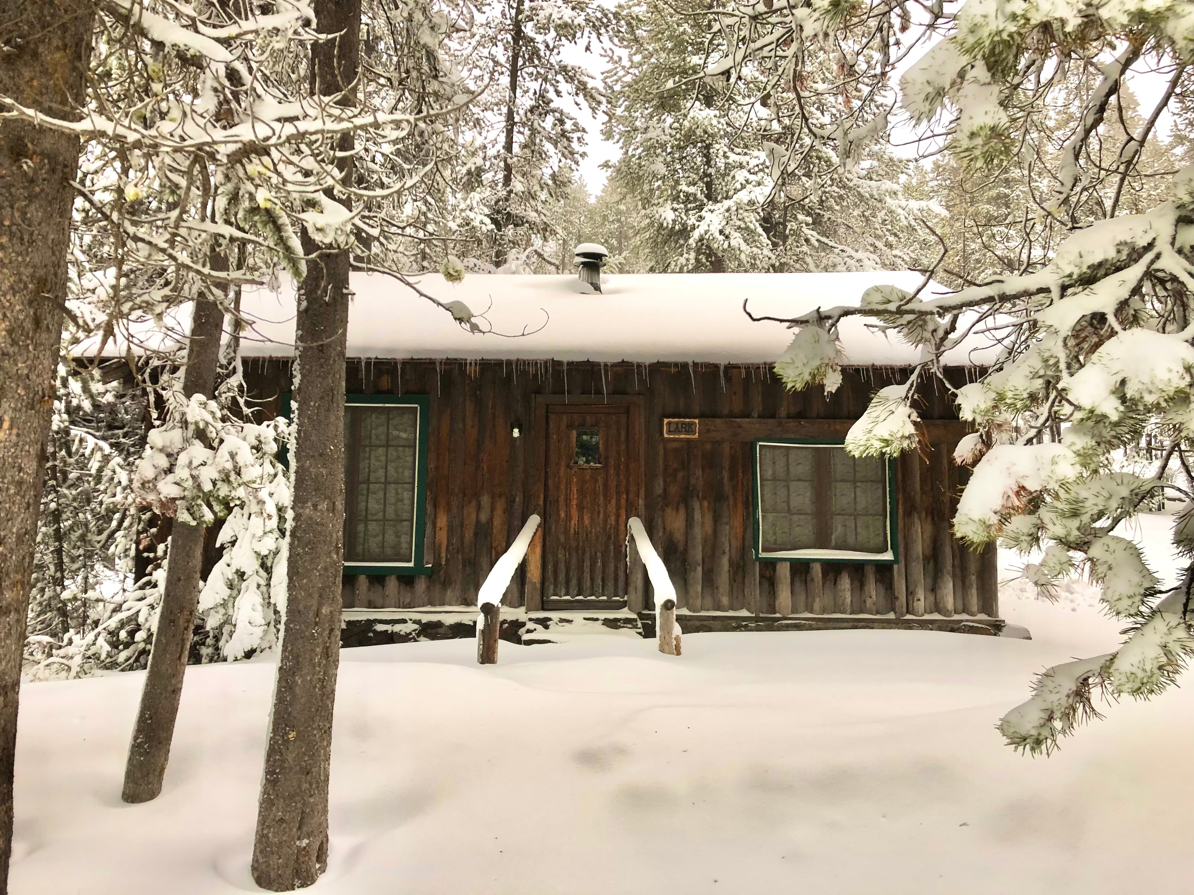 A rustic cabin surrounded by snow-covered trees.