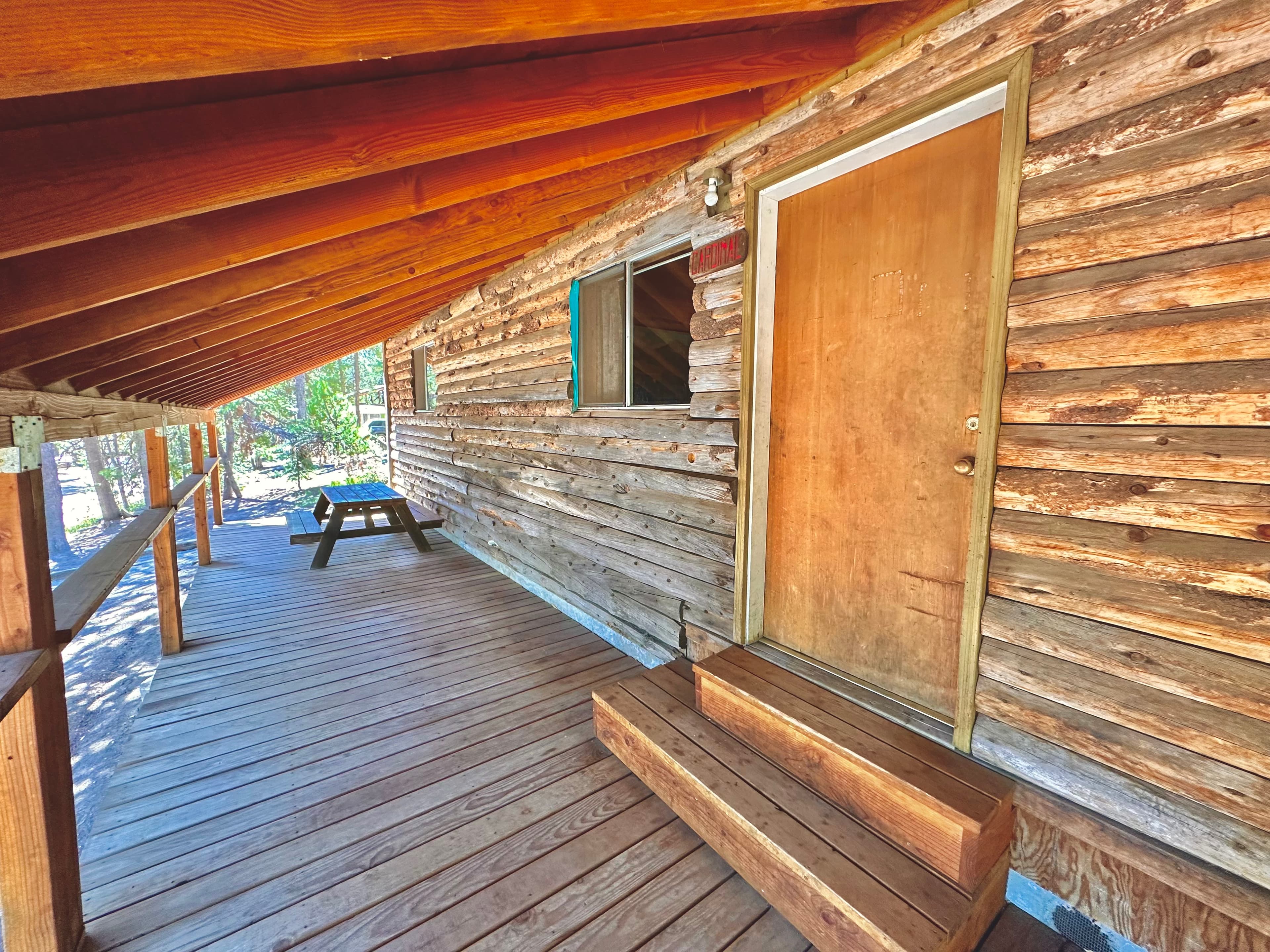 A wooden cabin porch featuring a door and steps, surrounded by trees.