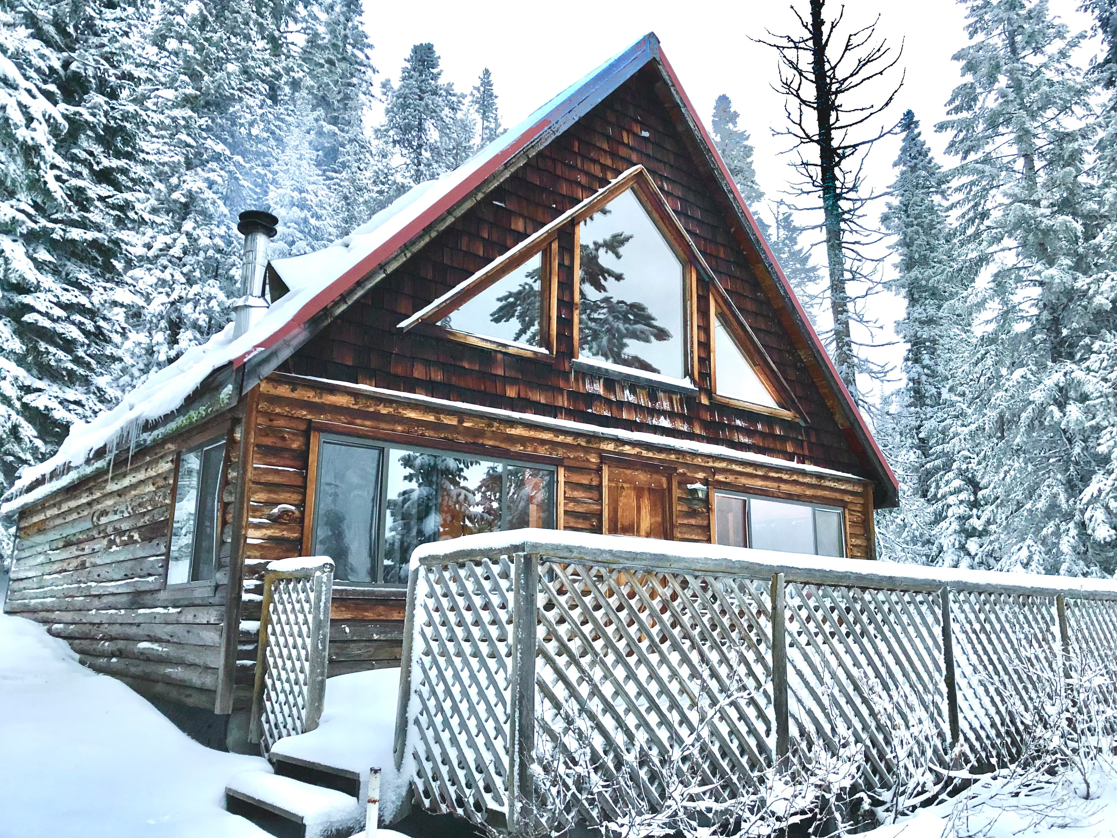 A rustic wooden cabin surrounded by snow-covered trees.