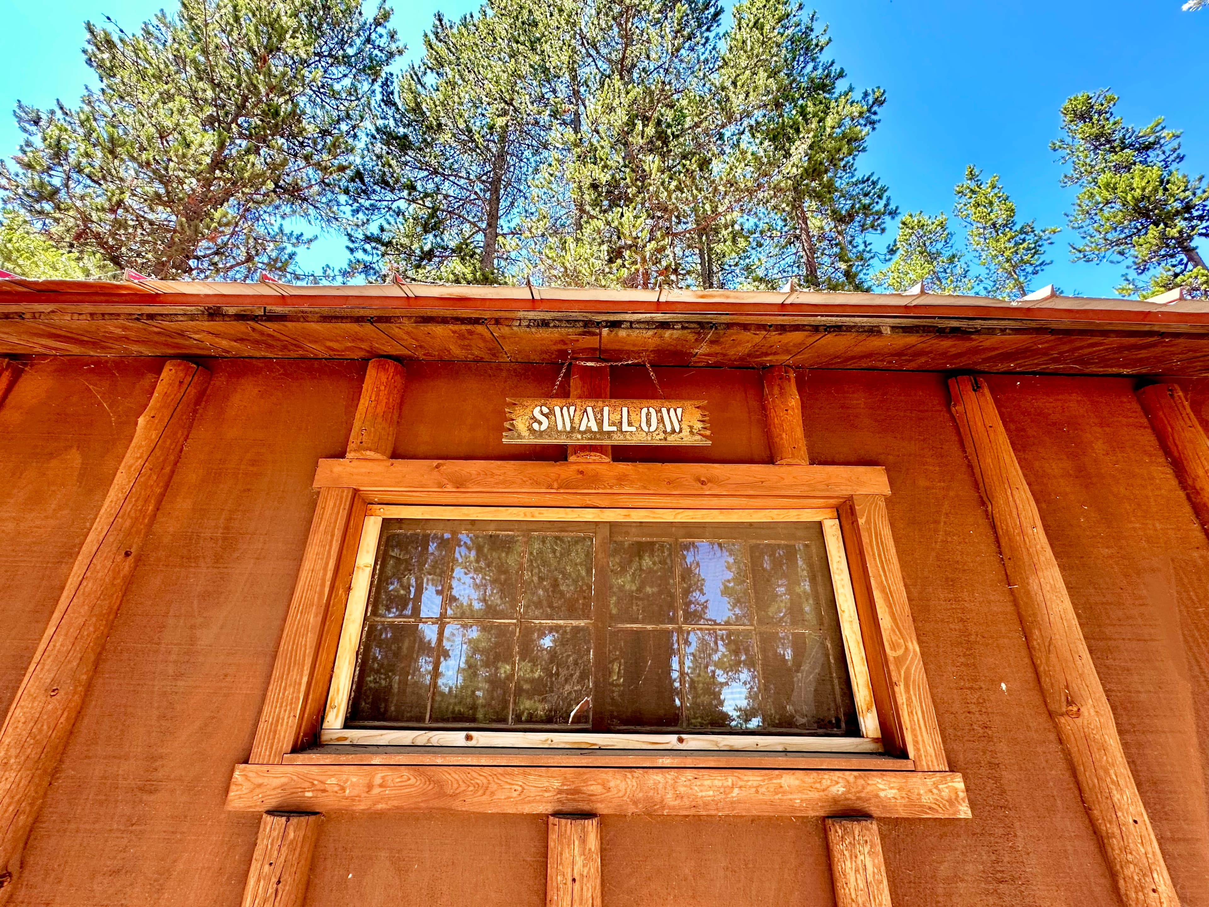 Wooden cabin exterior featuring a window and a sign labeled "SWALLOW" above it, set against a backdrop of tall trees and a clear blue sky.