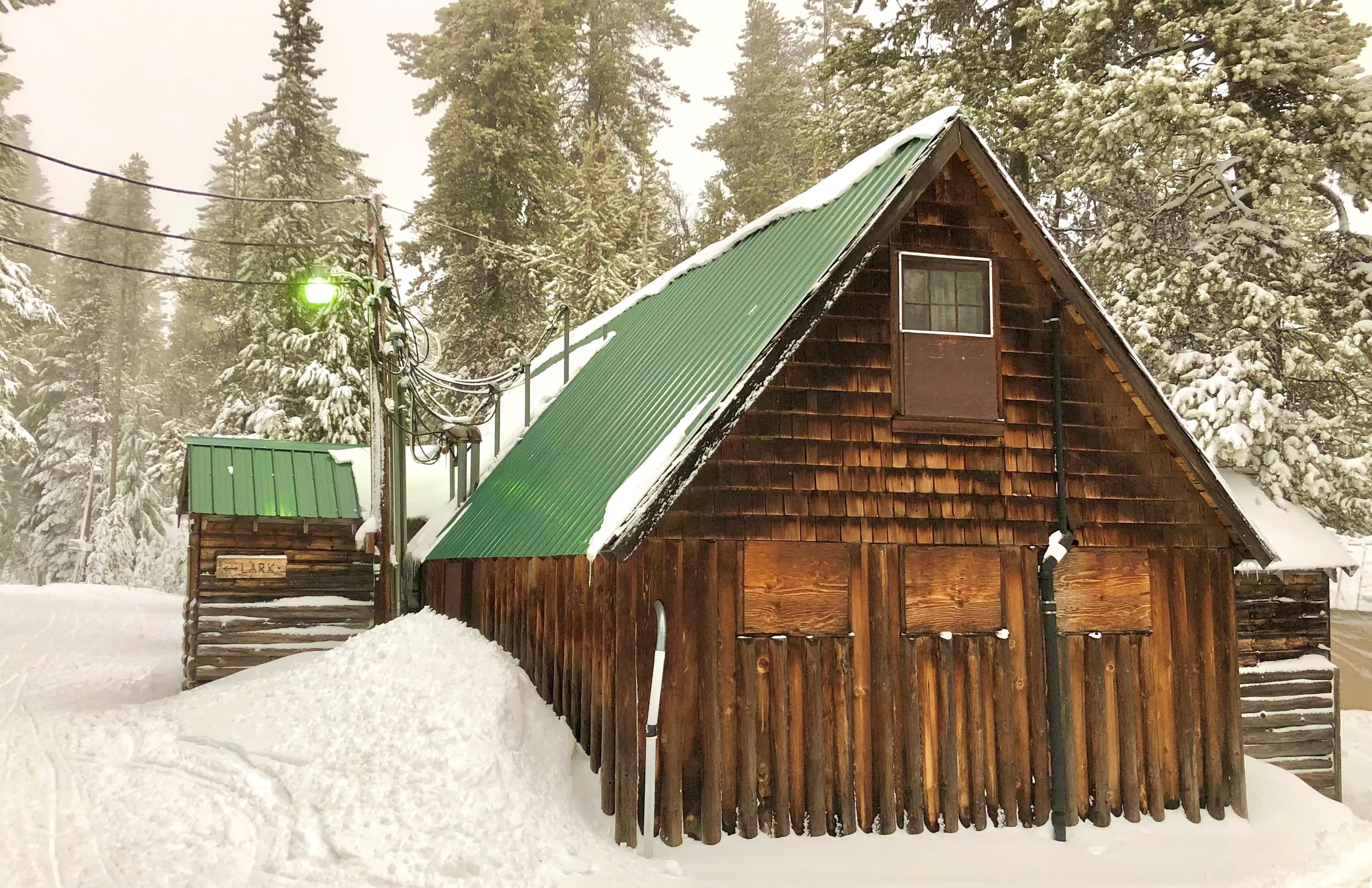 A cozy wooden cabin with a green roof surrounded by snow-covered trees.