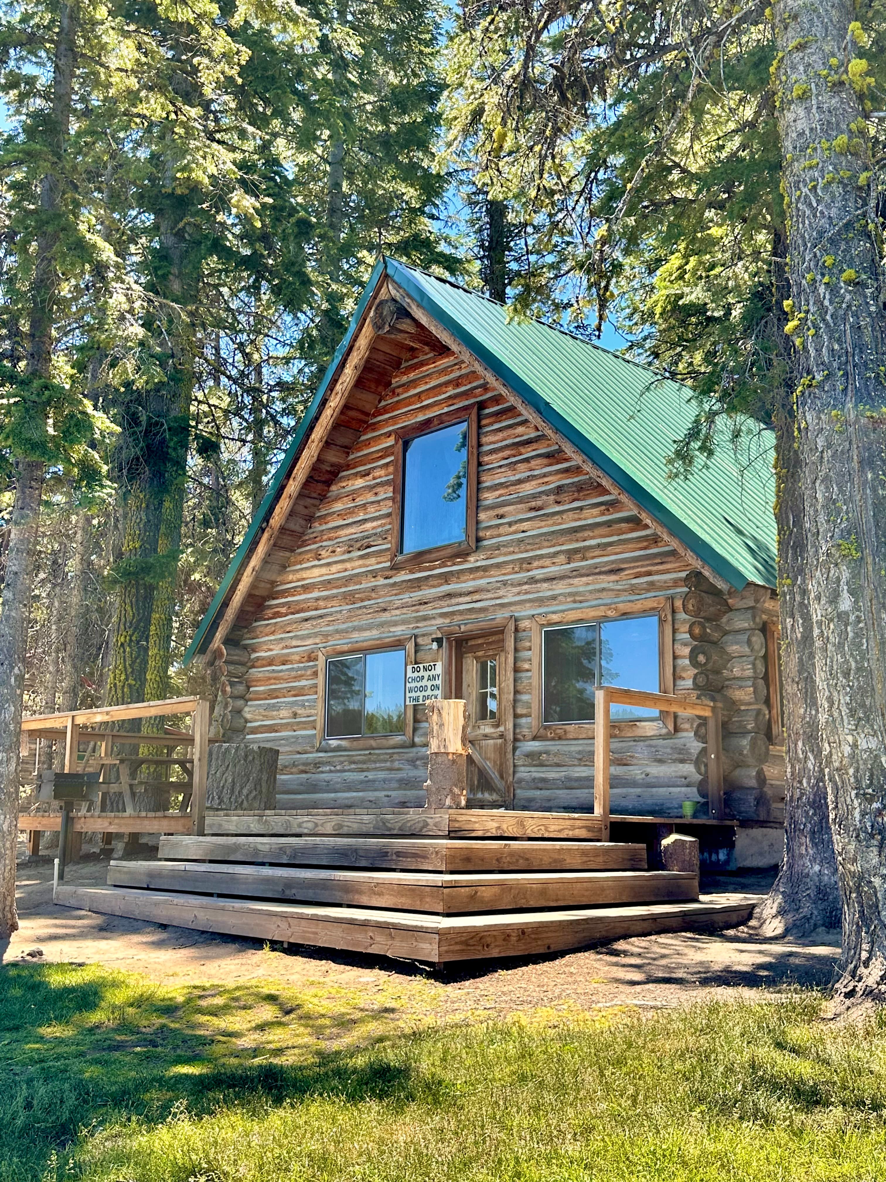 A wooden log cabin with a green roof and a small deck, surrounded by tall pine trees.