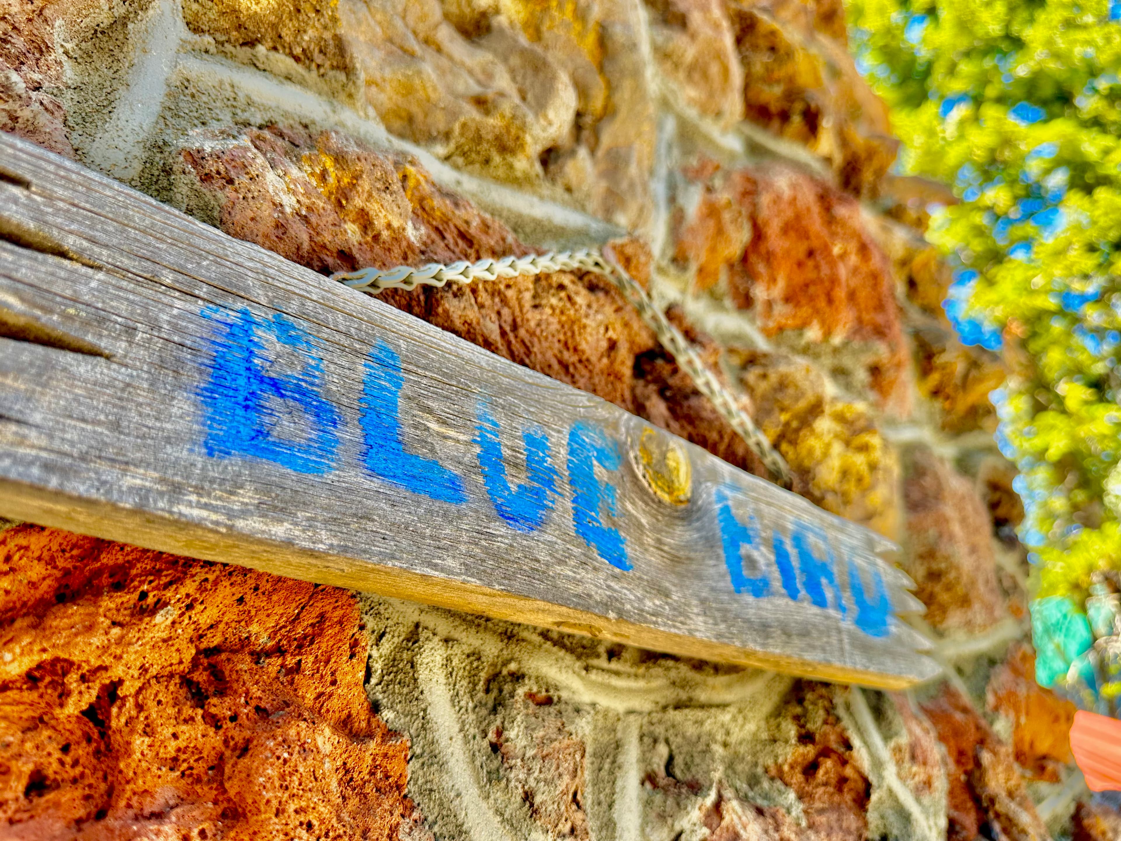 Wooden sign reading "BLUE ELM" attached to a textured stone wall.