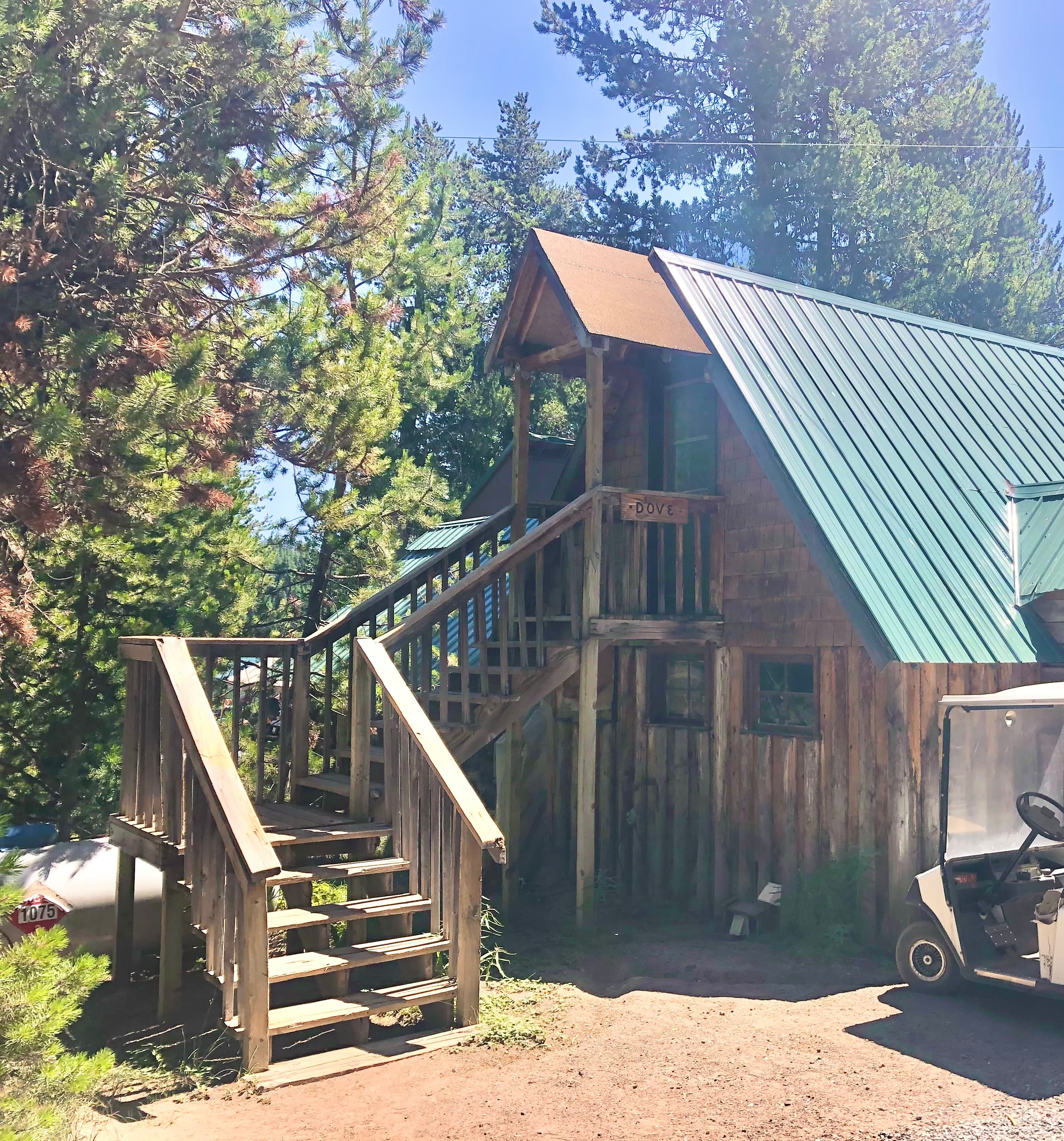 A wooden cabin with a green metal roof and stairs surrounded by trees.