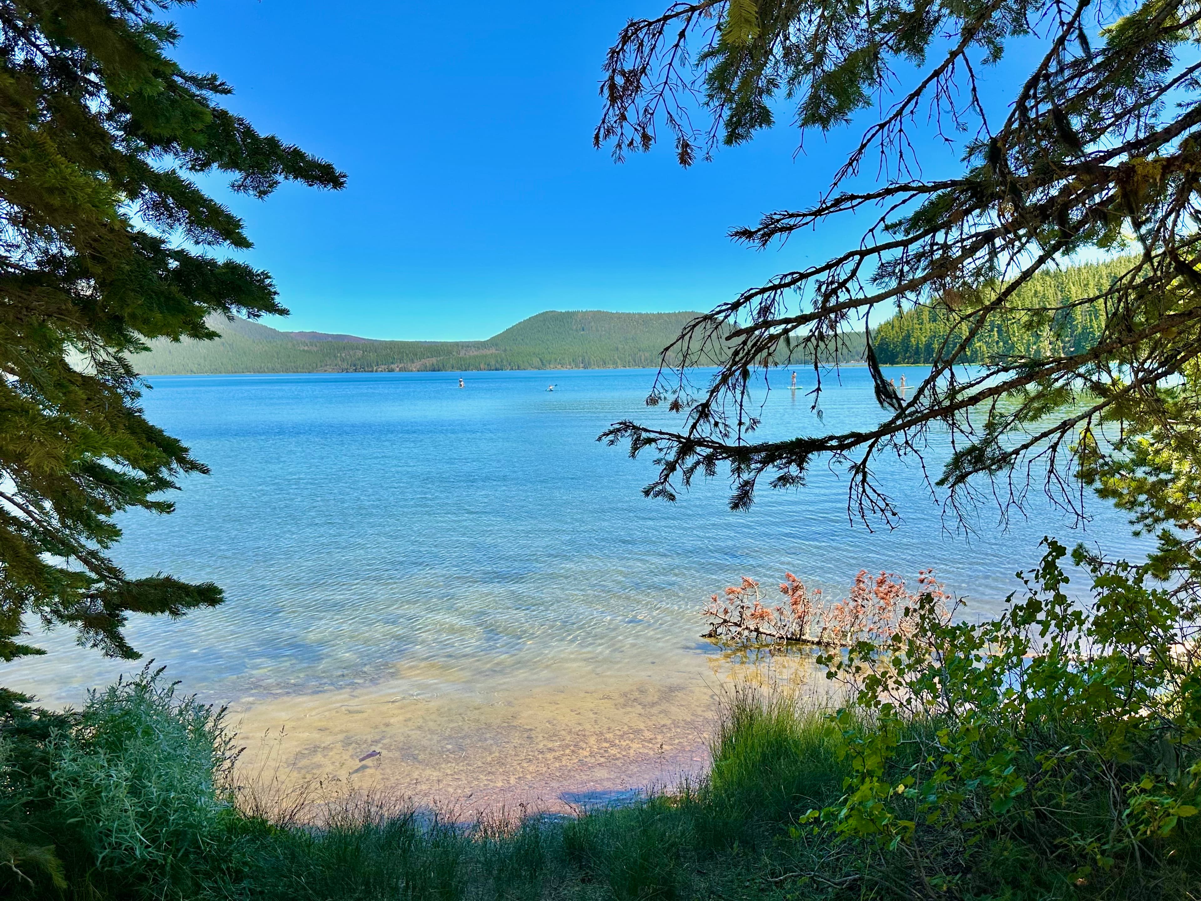 A serene lakeside view framed by trees under a clear blue sky.