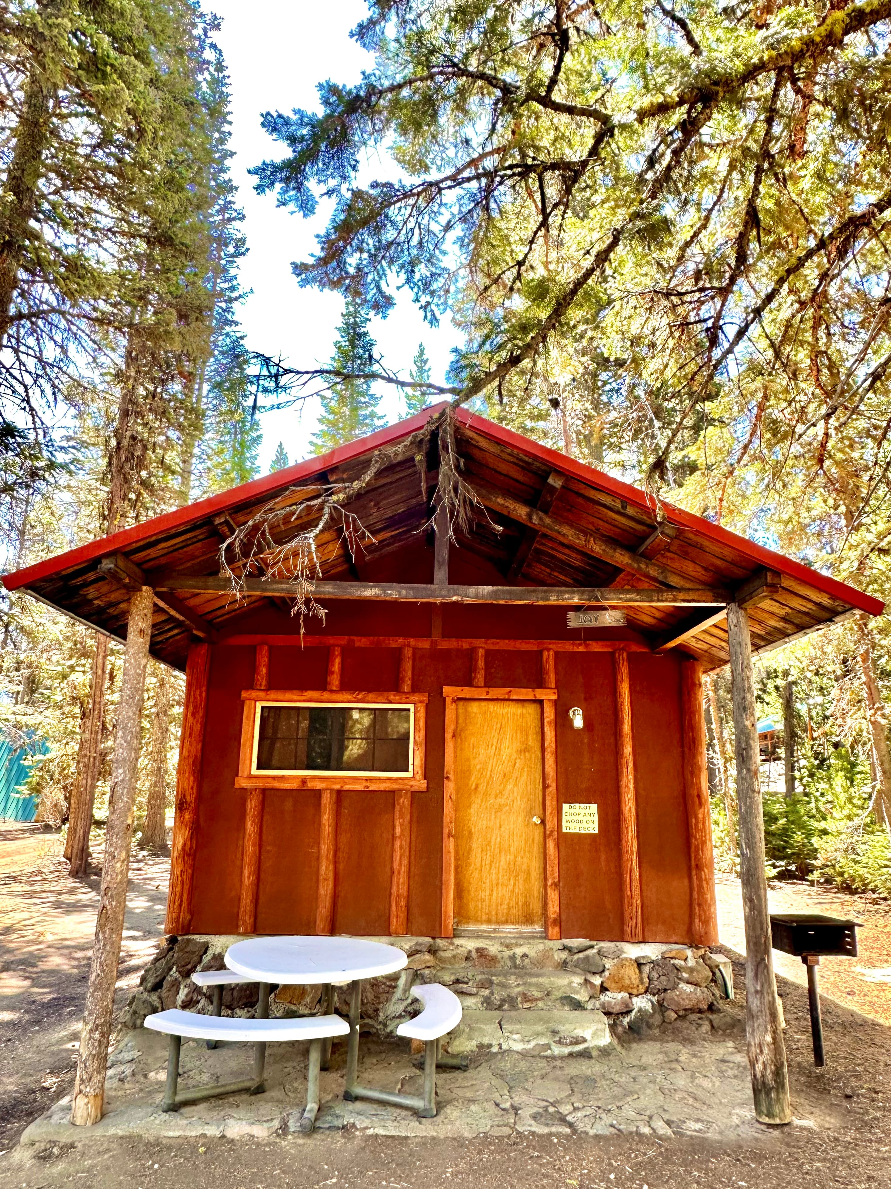 A small wooden cabin with a stone foundation sits surrounded by tall trees.