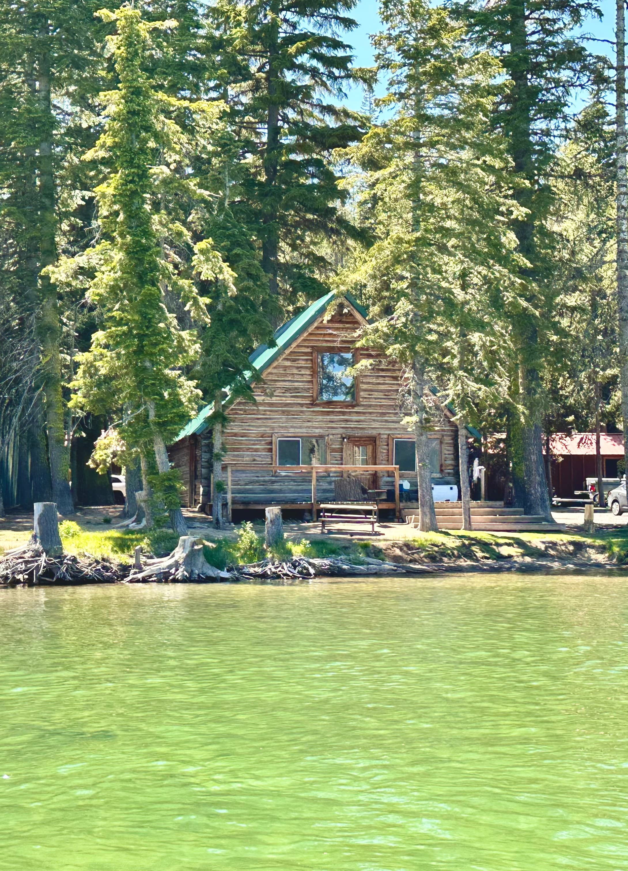 A rustic log cabin with a green roof surrounded by tall trees by a green lake.