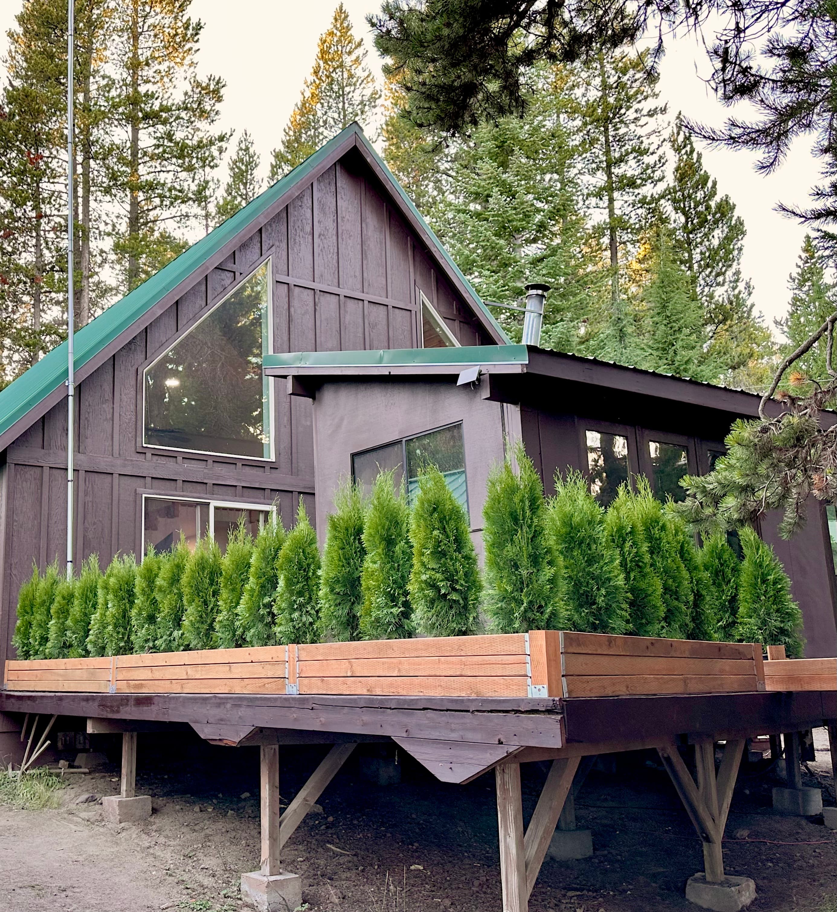 A modern brown house with large windows surrounded by a row of neatly trimmed evergreen plants.